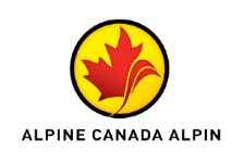 FSI World Cup Logo